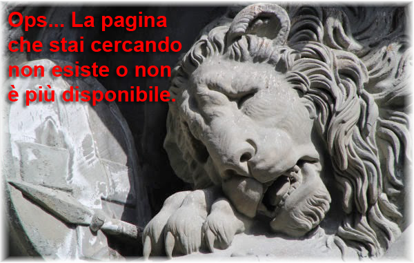 pagina-404-referenze-veneto-team